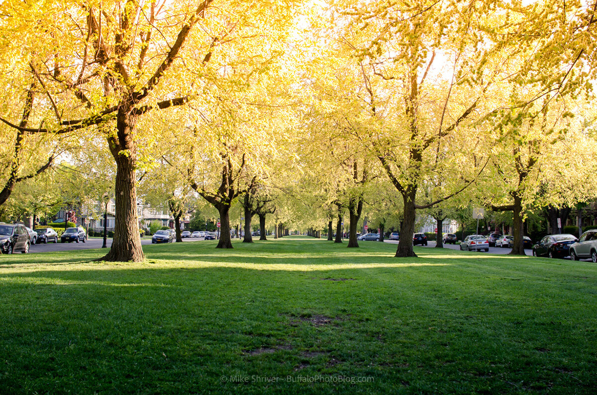 Bidwell Park