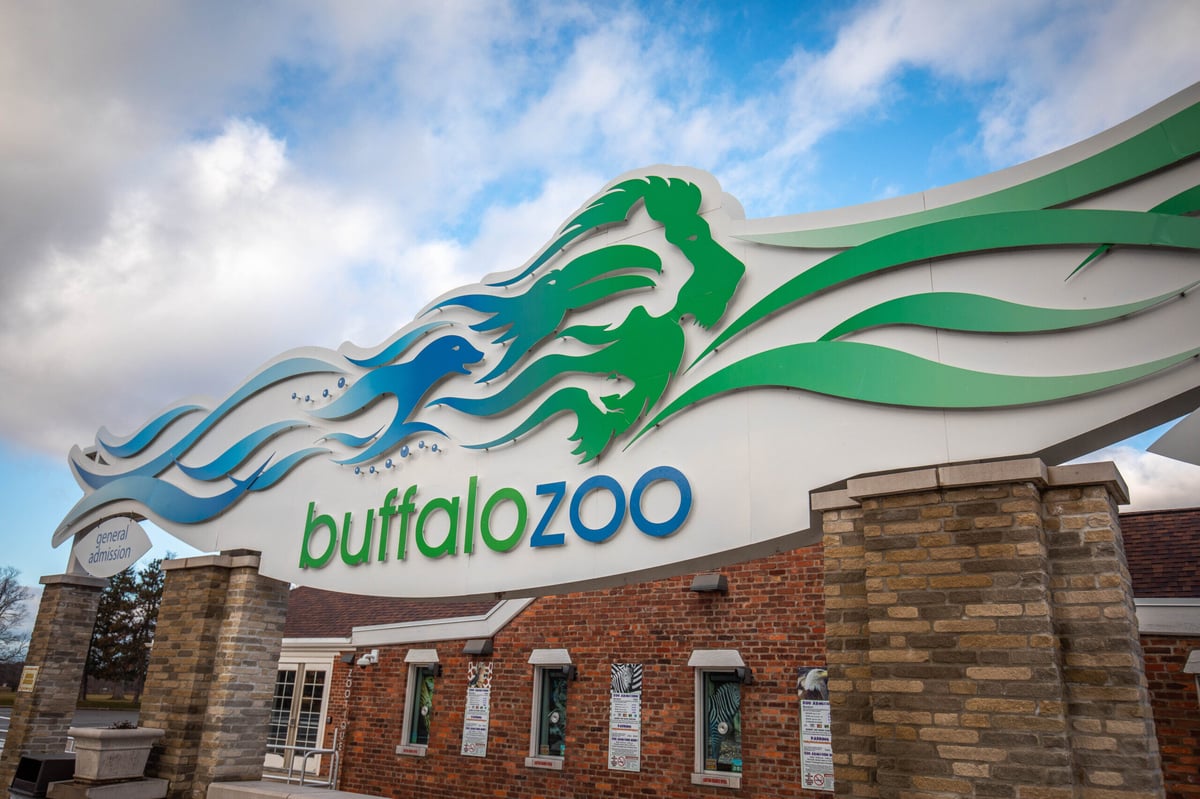 Buffalo Zoo